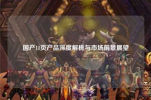 国产11页产品深度解析与市场前景展望