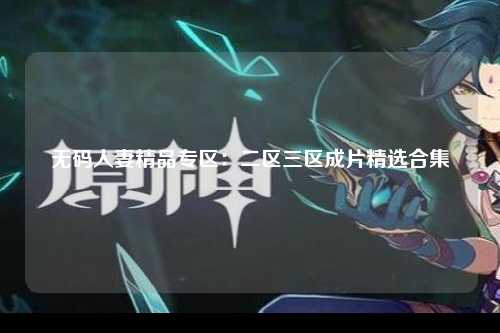 无码人妻精品专区：二区三区成片精选合集