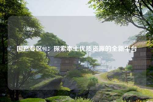 国产专区91：探索本土优质资源的全新平台