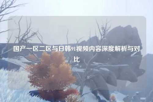 国产一区二区与日韩91视频内容深度解析与对比