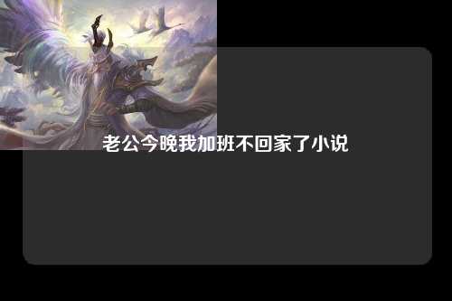老公今晚我加班不回家了小说