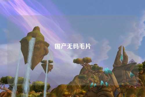 国产无码毛片