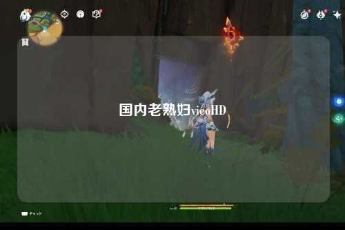 国内老熟妇vieoHD