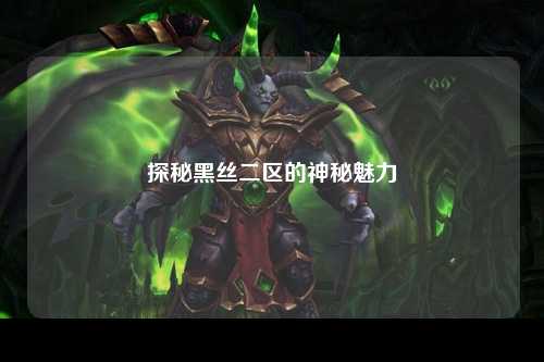 探秘黑丝二区的神秘魅力
