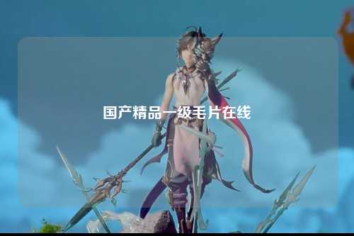 国产精品一级毛片在线