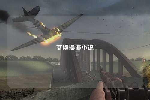交换操逼小说