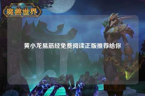 黄小龙易筋经免费阅读正版推荐给你