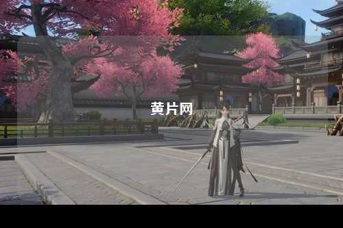黄片网