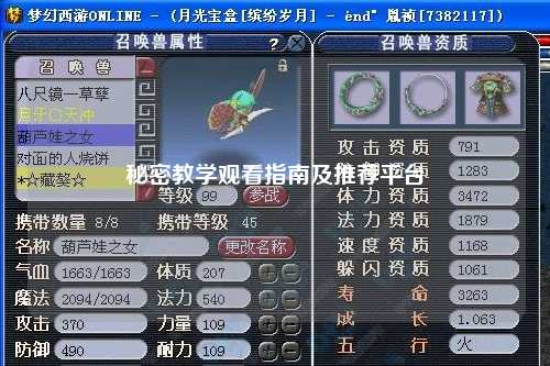 秘密教学观看指南及推荐平台