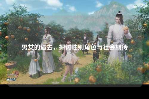 男女的逼去，探讨性别角色与社会期待